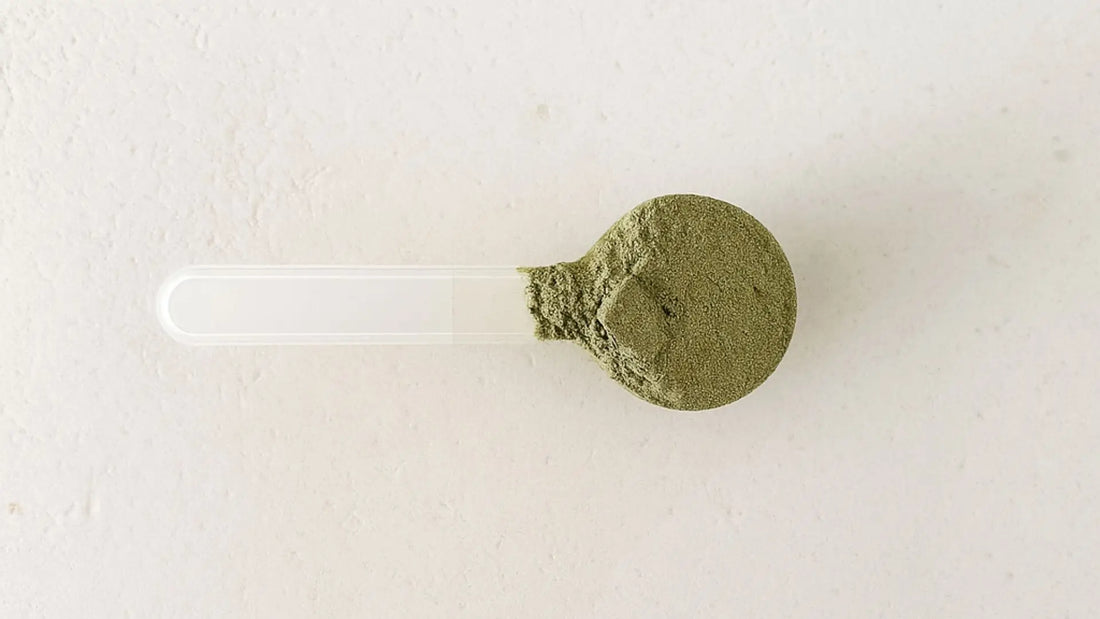 Was hilft bei ständigem Heißhunger – und warum Darm, Blutzucker und Stress entscheidend sind