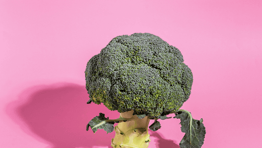 Was ist die Funktion von Chlorophyll?