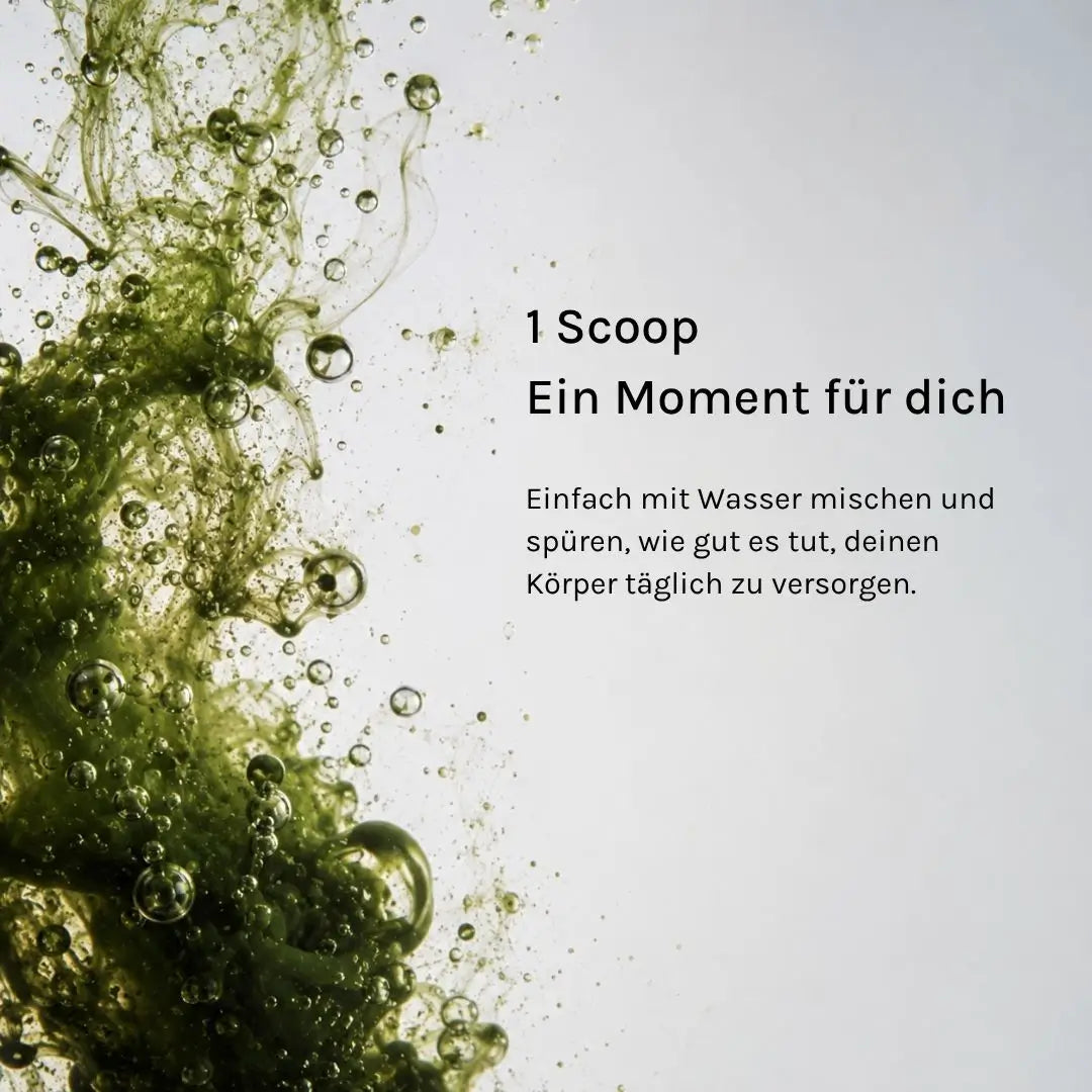 MY8 Greens & Magnesium free – Performance