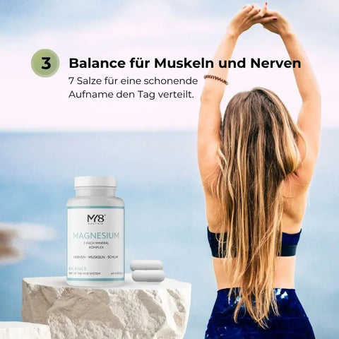 MY8 Daily System – Base, struttura ed equilibrio