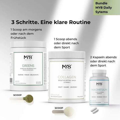MY8 Daily System – Base, struttura ed equilibrio