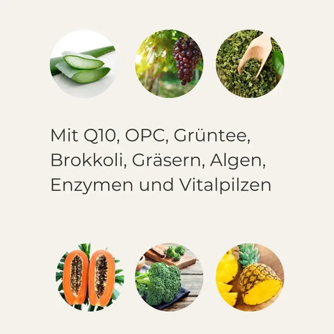MY8 Greens For Life Vitamine Probiotika Mineralstoffe Pflanzenstoffe Super Greens